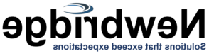 Newbridge logo